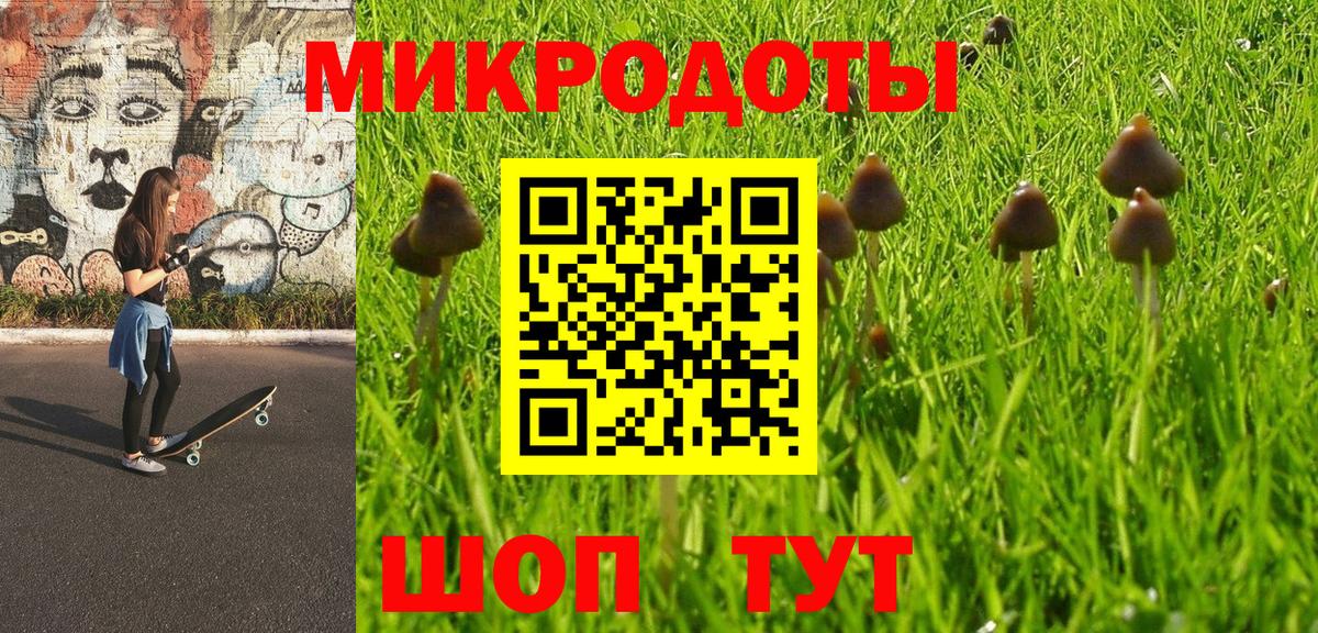Галлюциногенные грибы Psilocybine cubensis  Вход с VPN  Иваново 